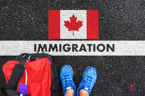 More Services Canada-Acumen-Immigration